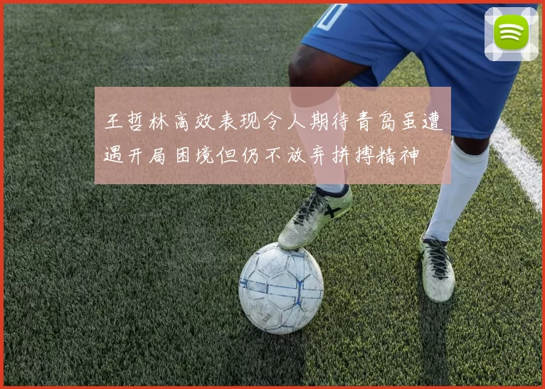 王哲林高效表现令人期待青岛虽遭遇开局困境但仍不放弃拼搏精神