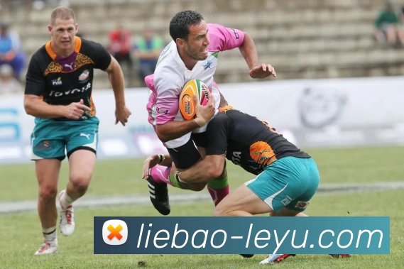 乐鱼体育APP 封面图