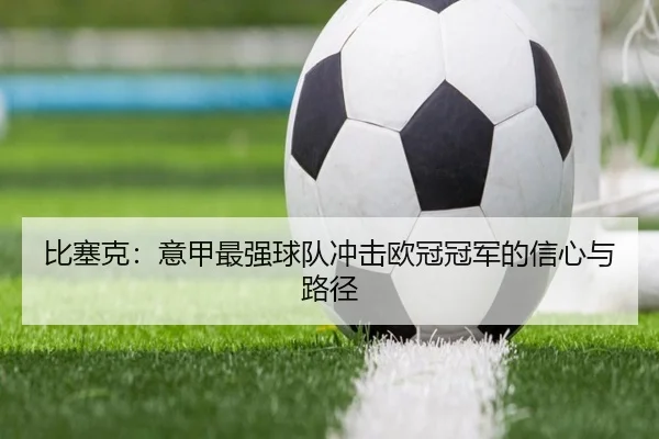 比塞克：意甲最强球队冲击欧冠冠军的信心与路径 - leyu